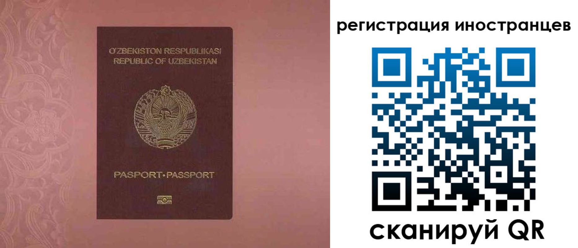 временная регистрация госуслуги в Каменке